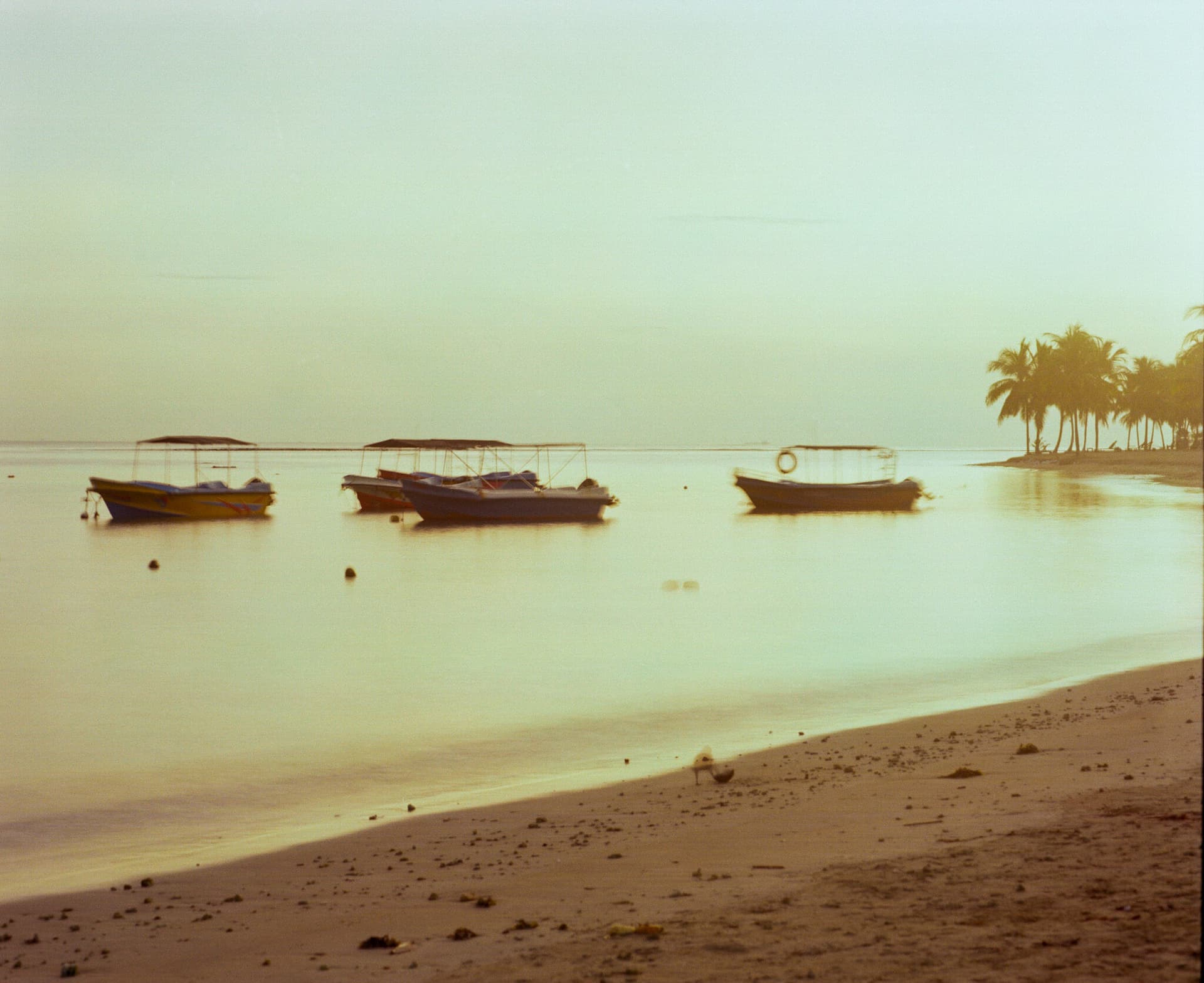 Street photography by Ahmad Abdulwadood